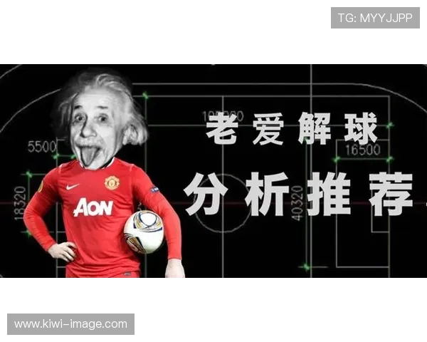 布伦特福德足球队最新动态分析球队表现与未来发展趋势