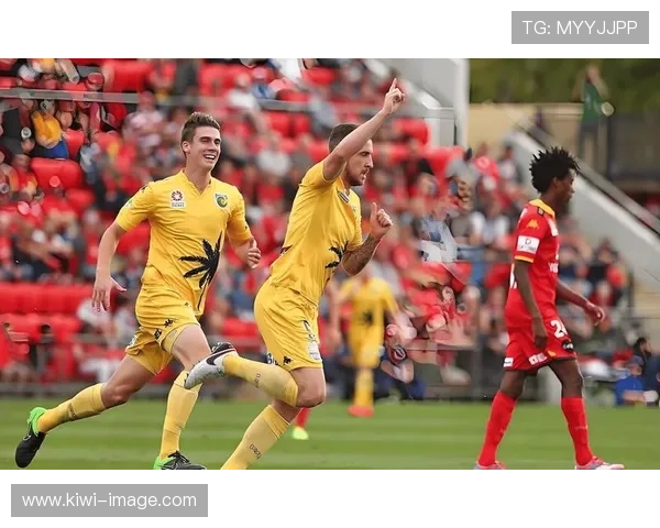 塞尔塔俱乐部的历史变迁与未来展望：从西甲新贵到欧洲赛场的逐梦之路