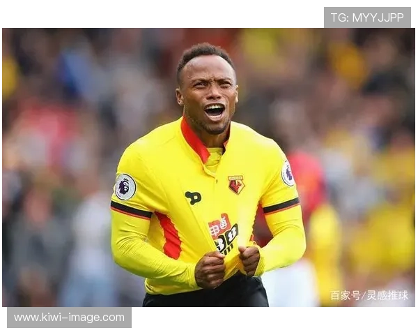 沃特福德足球俱乐部的辉煌历程与未来发展展望分析