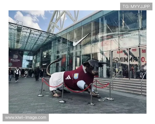 阿斯顿维拉俱乐部：历史荣耀与未来愿景的融合之路